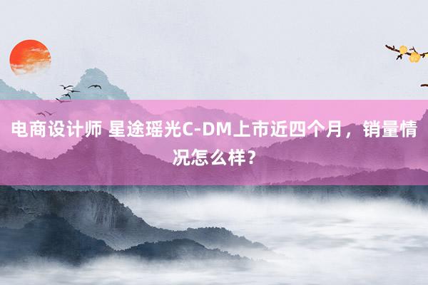 电商设计师 星途瑶光C-DM上市近四个月，销量情况怎么样？